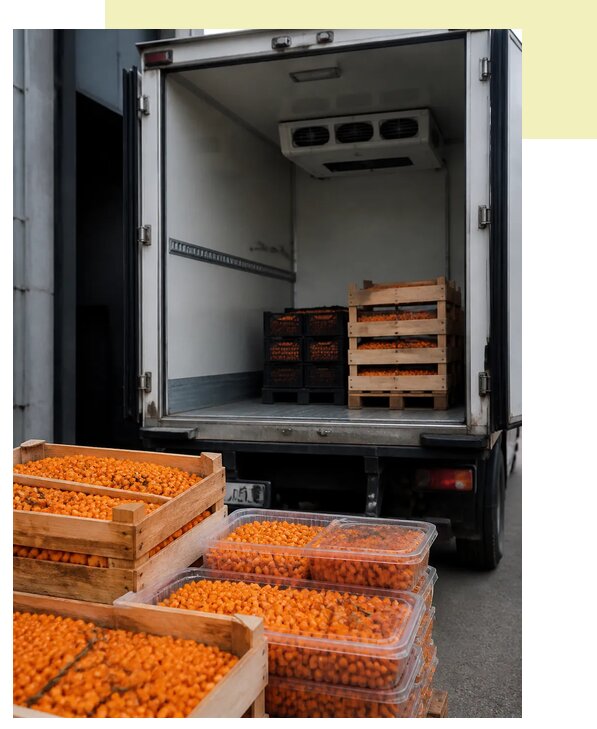 Перевозка облепихи автотранспортом в Алексин по цене от 5494 р. | Агросервис-Лкс